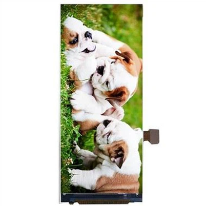 Màn hình LCD 3,46 inch