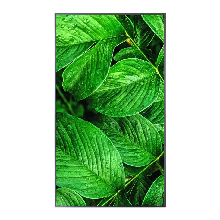 43inch 4K UHD Ultra-Thin LCD Display Screen Custom Available